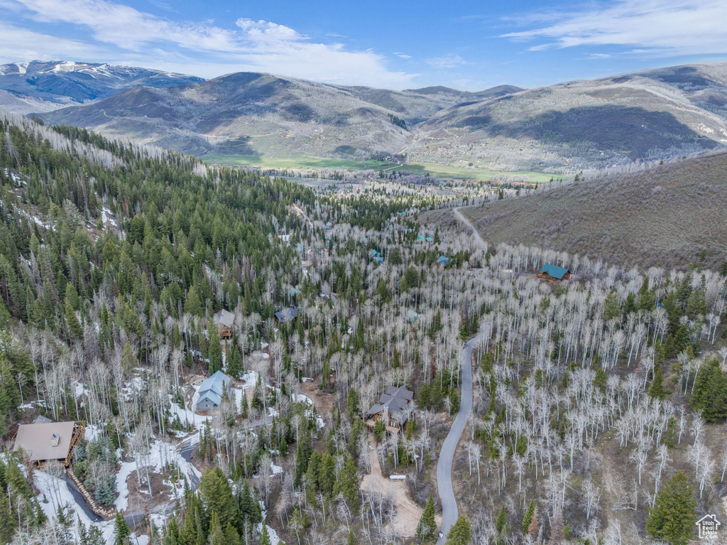 Aerial overview of property's location with a mountain backdrop