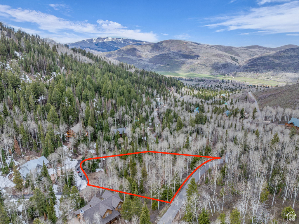 Aerial overview of property's location with mountains, property parcel outlined, and a heavily wooded area