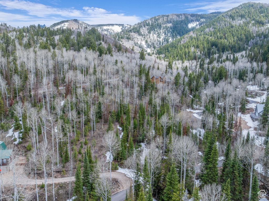 View of mountain background featuring a heavily wooded area