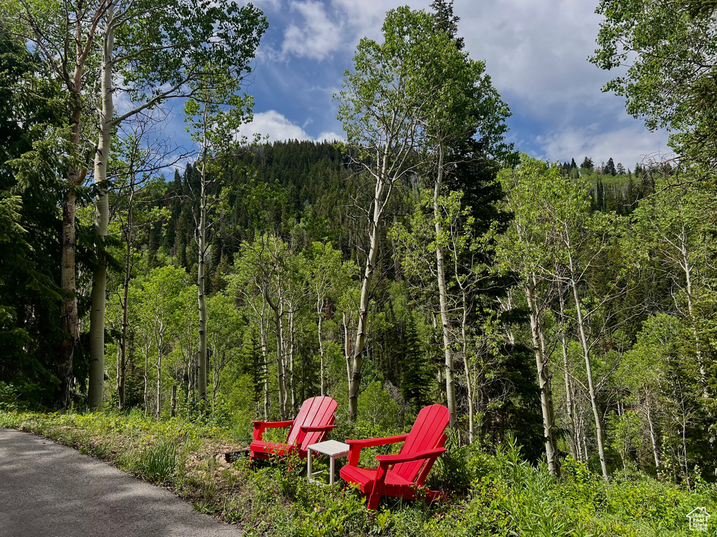 View of yard with a forest view
