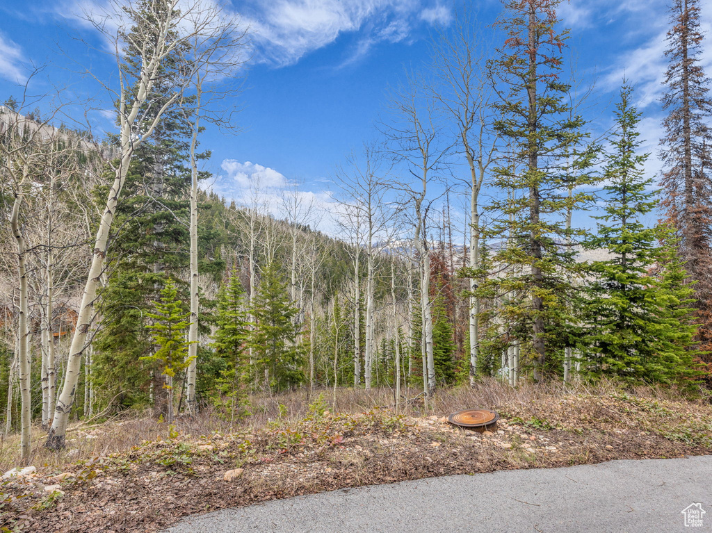 View of wooded area