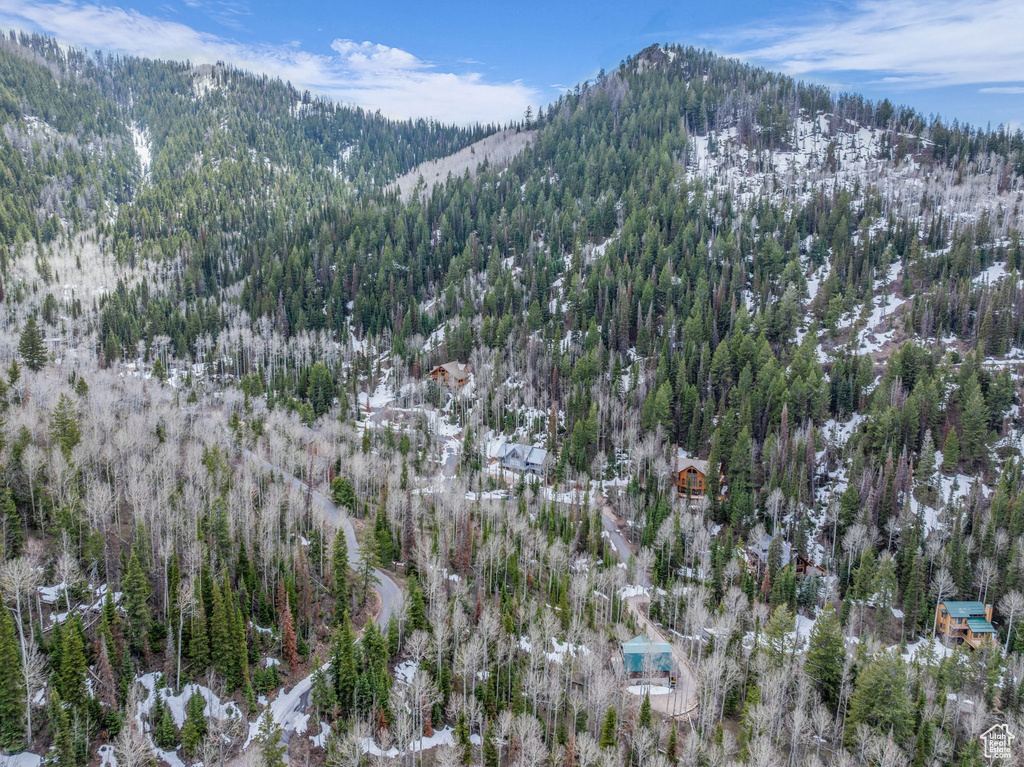 Snowy aerial view with a mountain view and a forest view