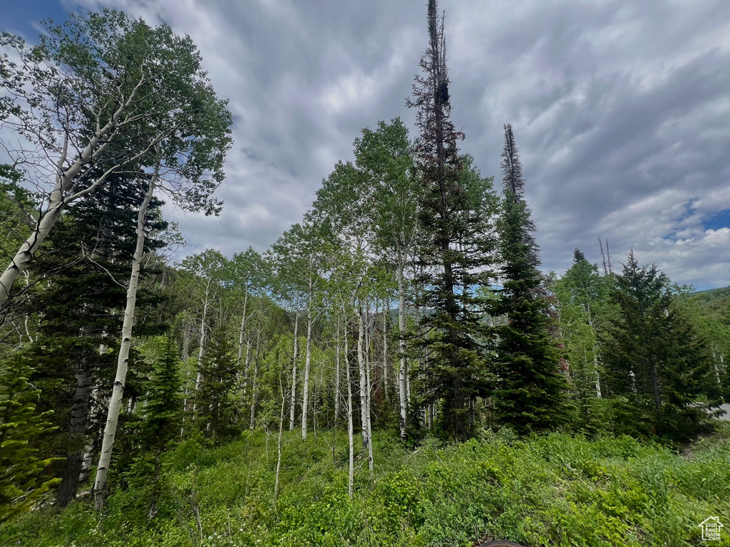 View of wooded area
