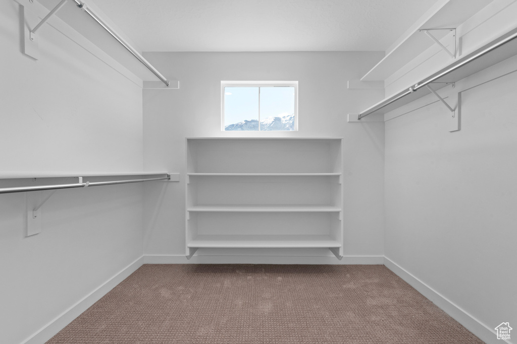 Walk in closet with carpet floors