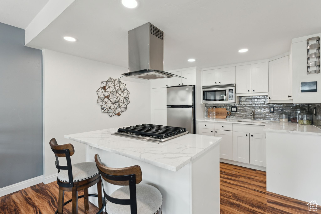 Kitchen with stainless steel appliances, extractor fan, a sink, dark wood-style flooring, and recessed lighting