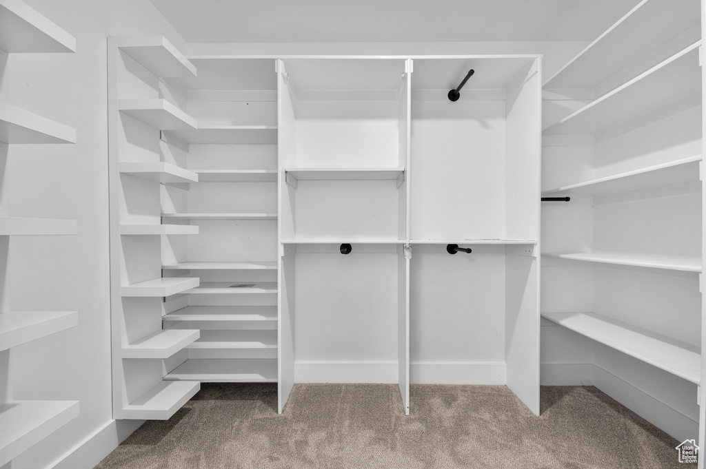 Walk in closet with carpet flooring