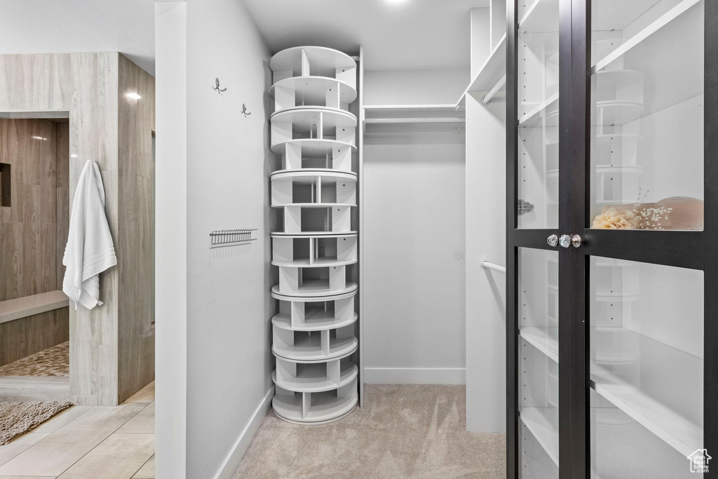Spacious closet featuring carpet floors