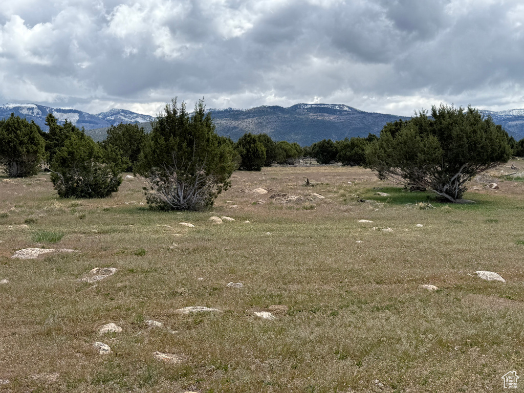 View of mountain background
