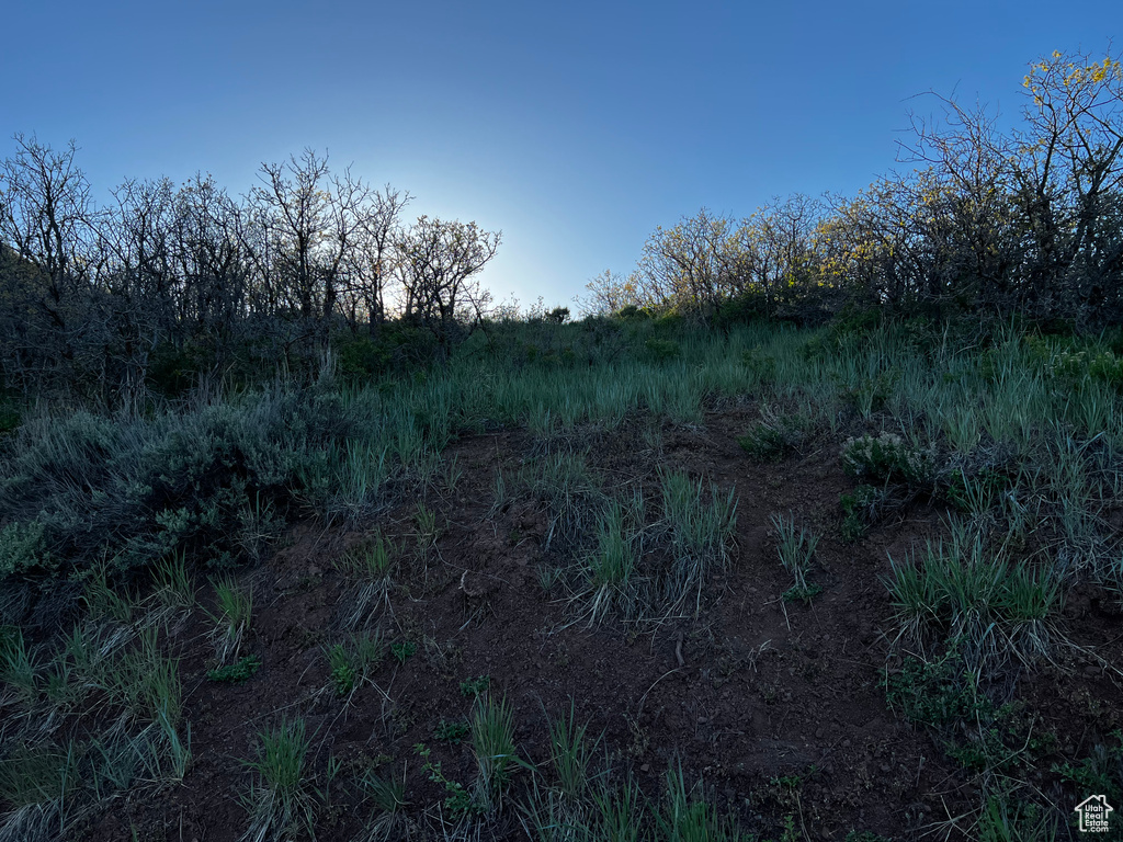 View of nature
