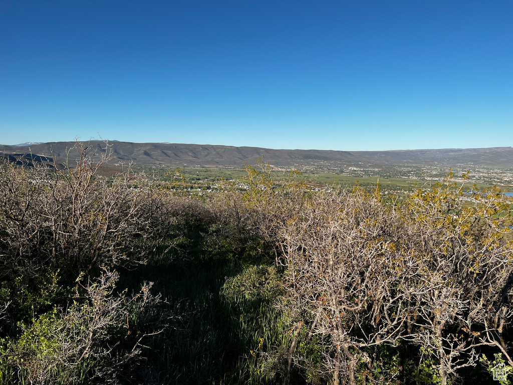 View of mountain backdrop
