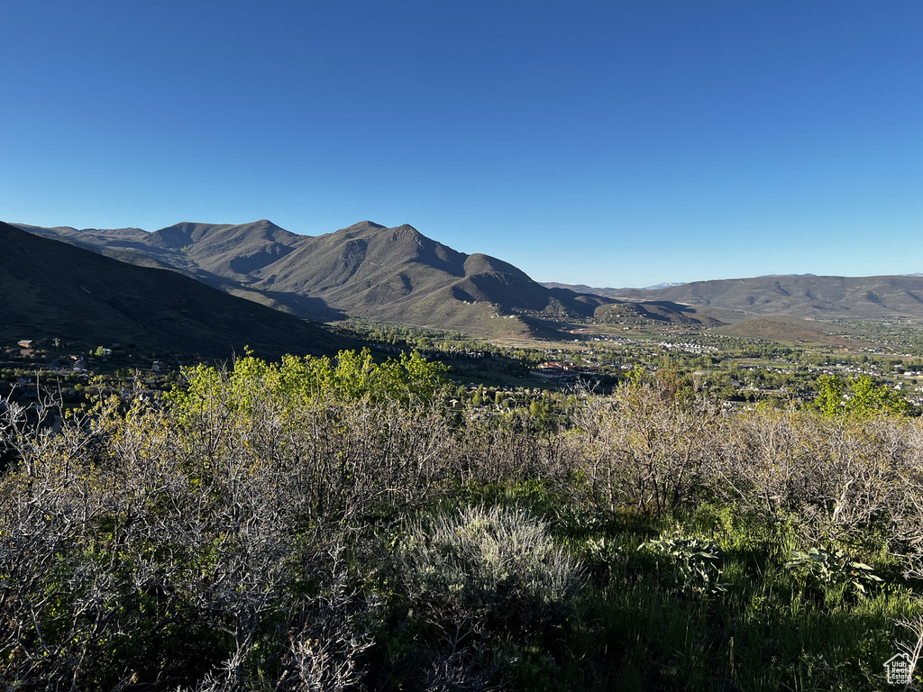 View of mountain background