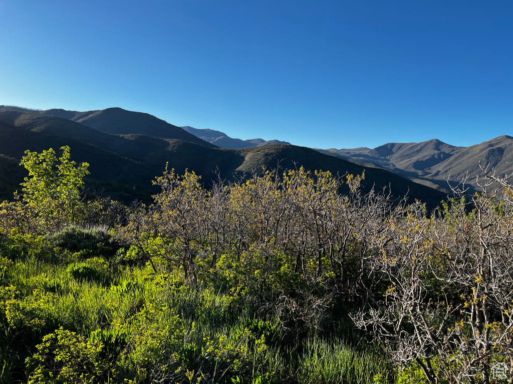 View of mountain background