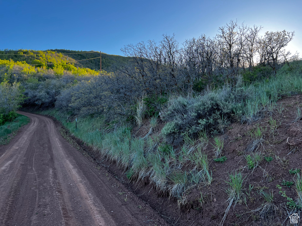 Mountain view featuring a heavily wooded area