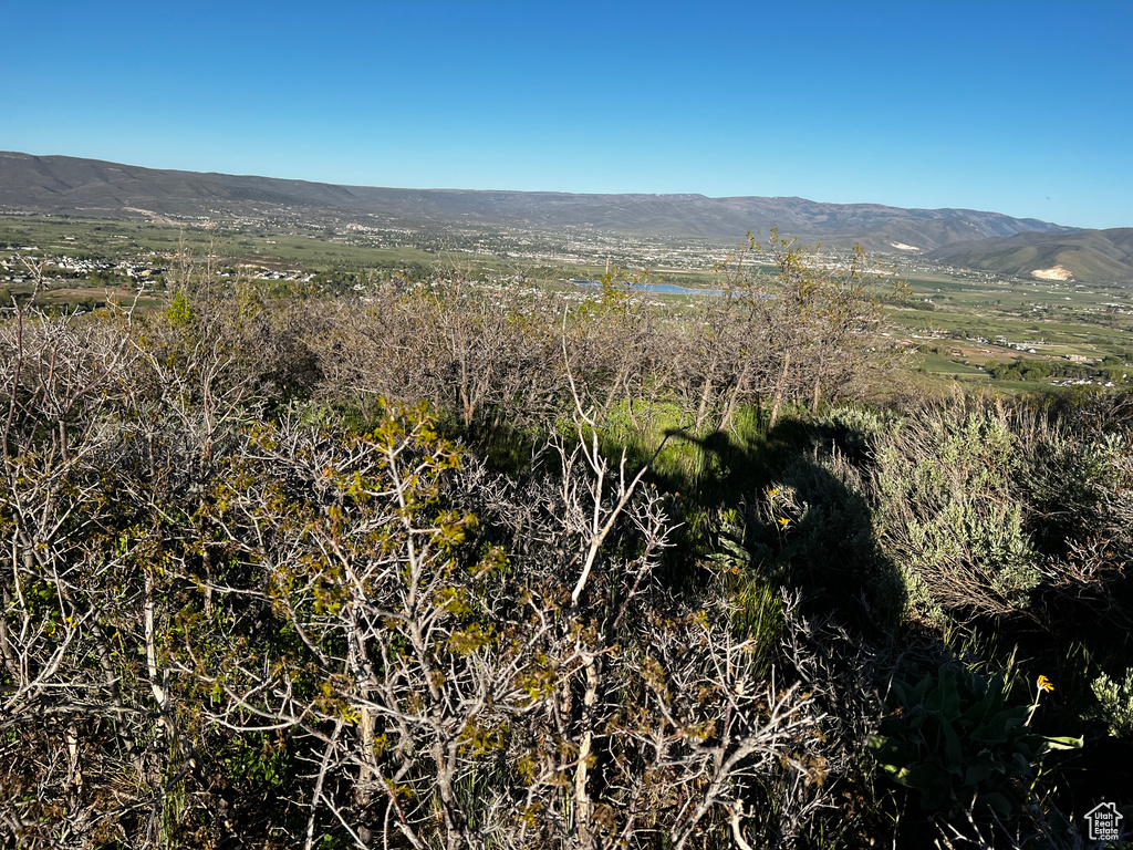 View of mountain background