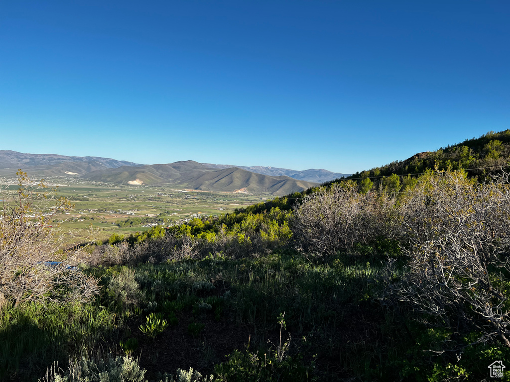 View of mountain backdrop