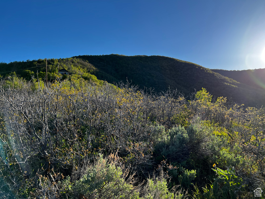Mountain view