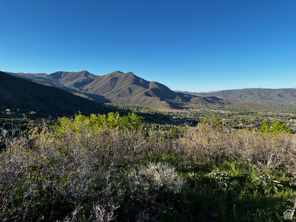 Mountain view