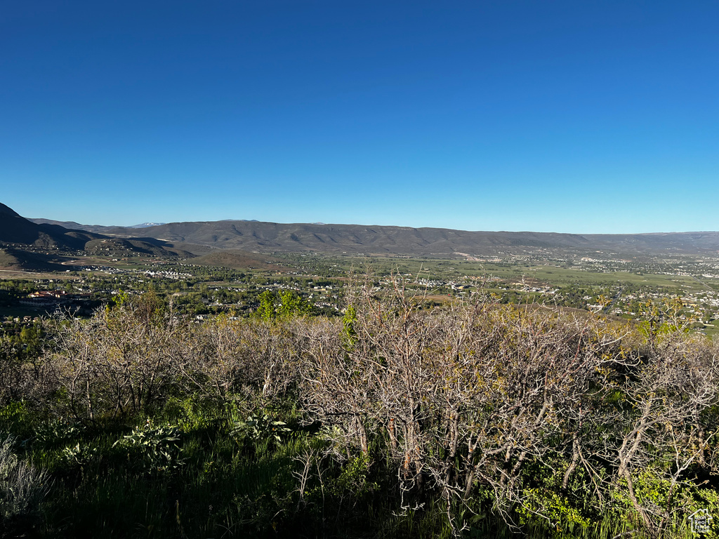 View of mountain backdrop