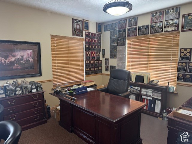 Office area with carpet