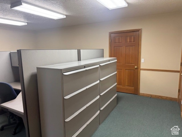Office space with carpet floors and a textured ceiling