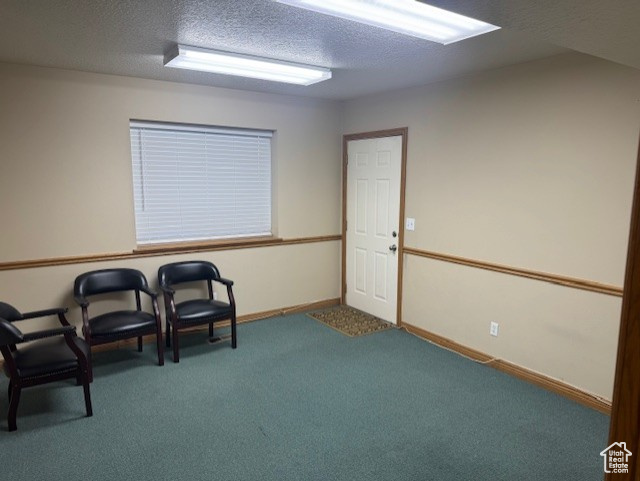 Living area with carpet, baseboards, and a textured ceiling
