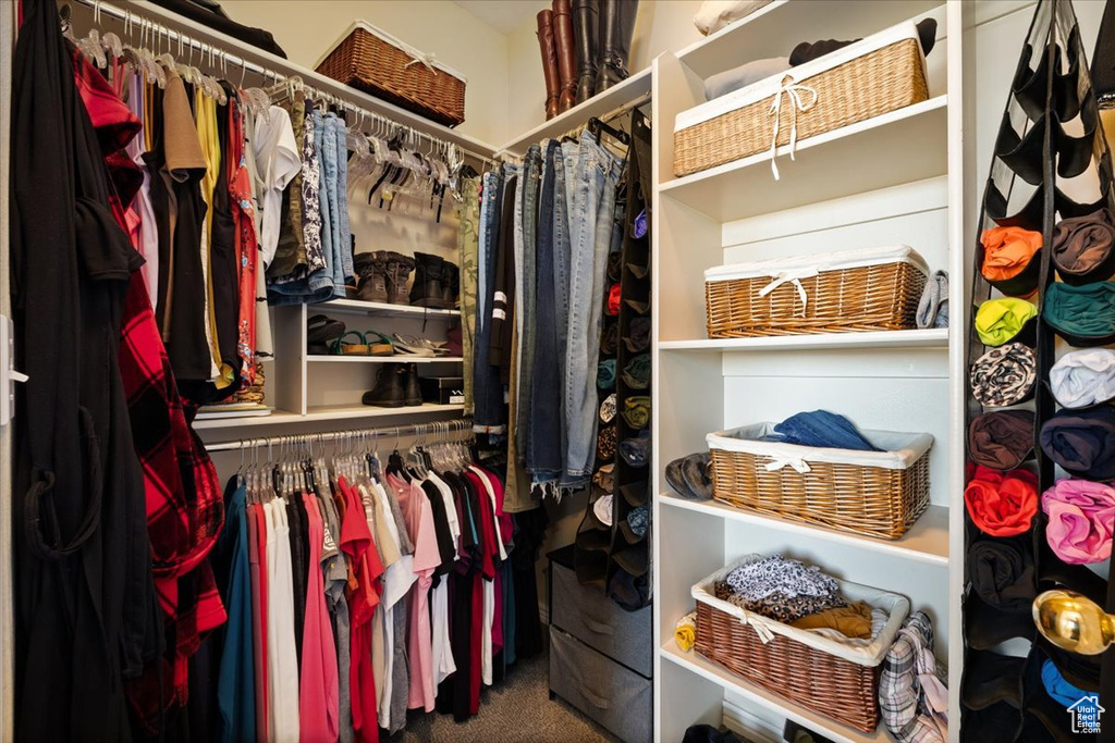 Walk in closet featuring carpet floors