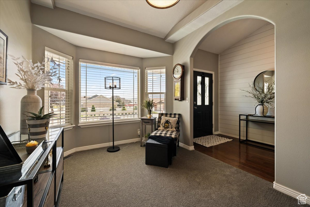Living area with carpet floors, plenty of natural light, arched walkways, baseboards, and wood walls