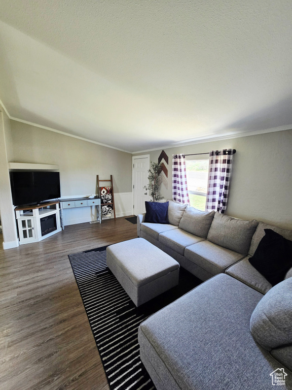Living room featuring wood finished floors, crown molding, and baseboards
