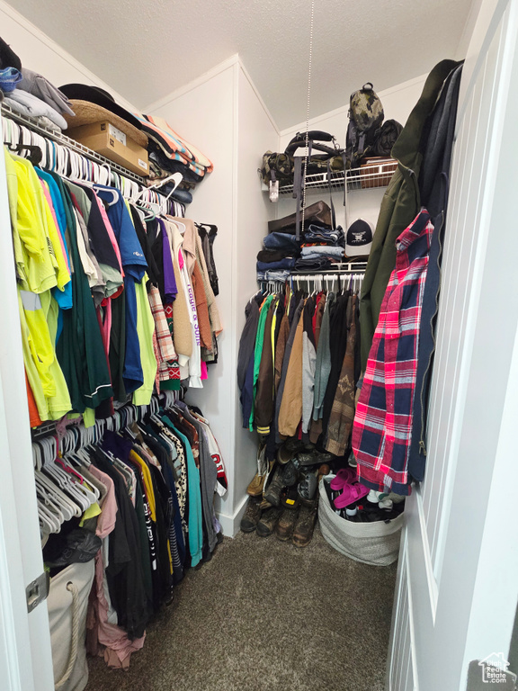 Spacious closet featuring carpet