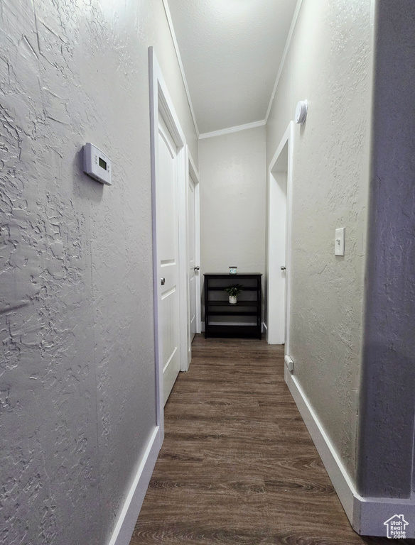 Hall featuring dark wood finished floors, ornamental molding, baseboards, and a textured wall