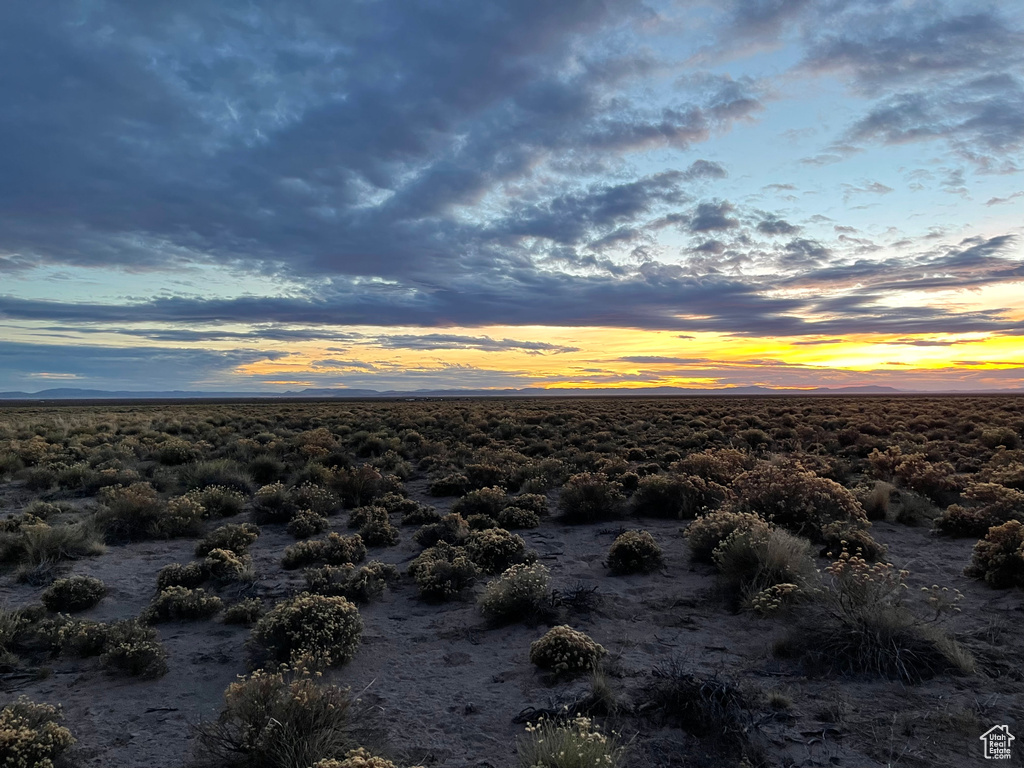 View of mountain backdrop with a desert landscape