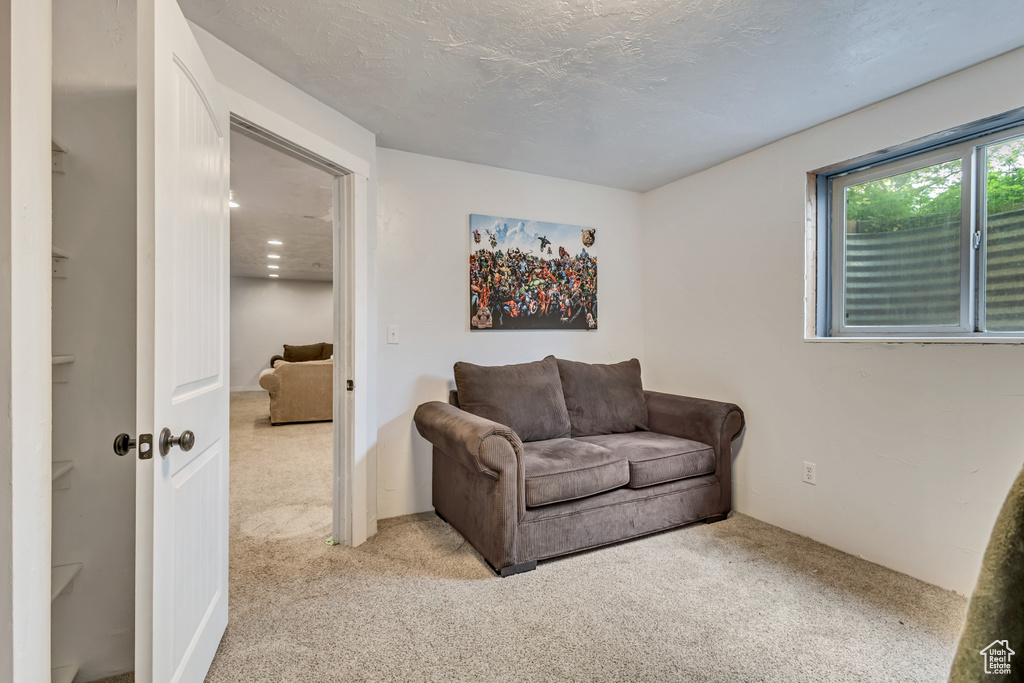 Sitting room with carpet flooring