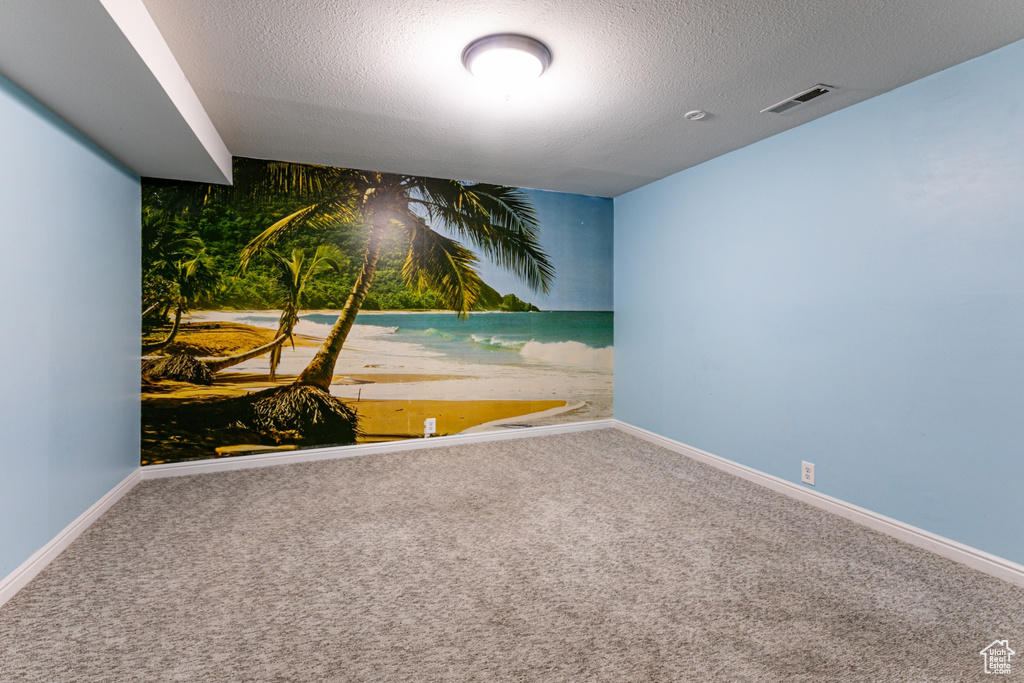 Spare room with carpet, baseboards, and a textured ceiling