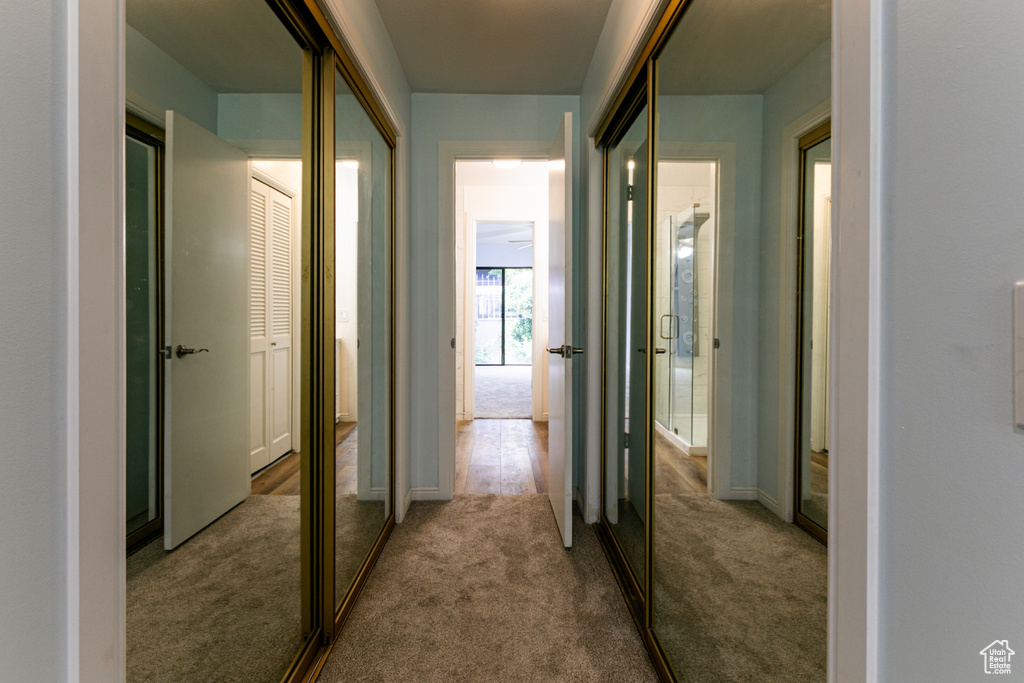 Hall with carpet