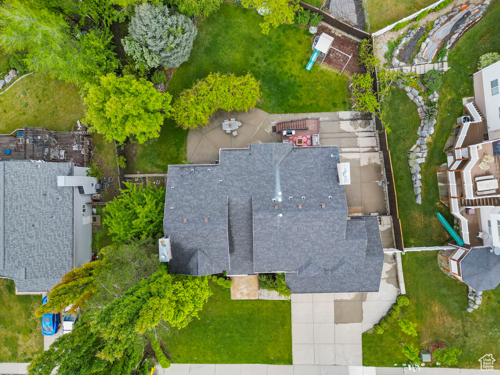 Bird\'s eye view