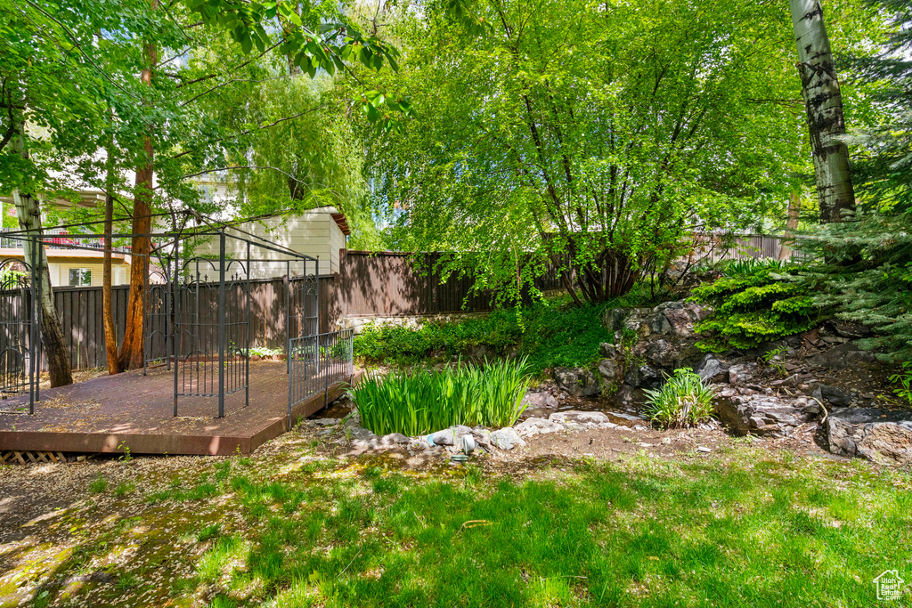 View of fenced backyard