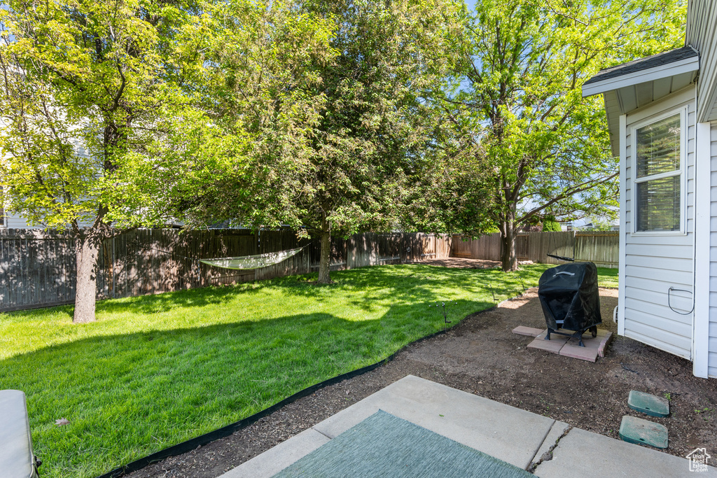 View of yard featuring a patio