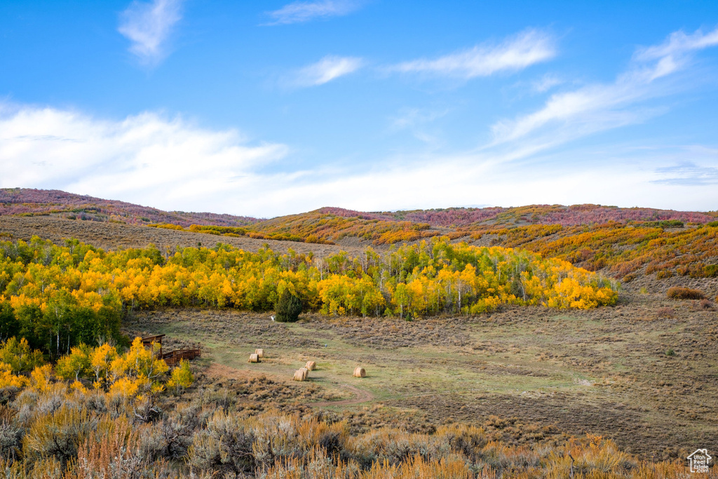 View of mountain background