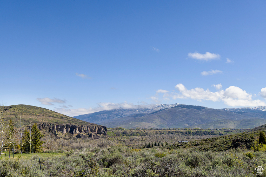 Mountain view