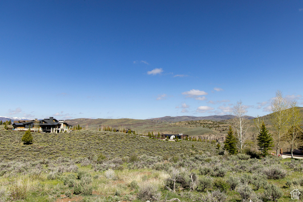 Mountain view