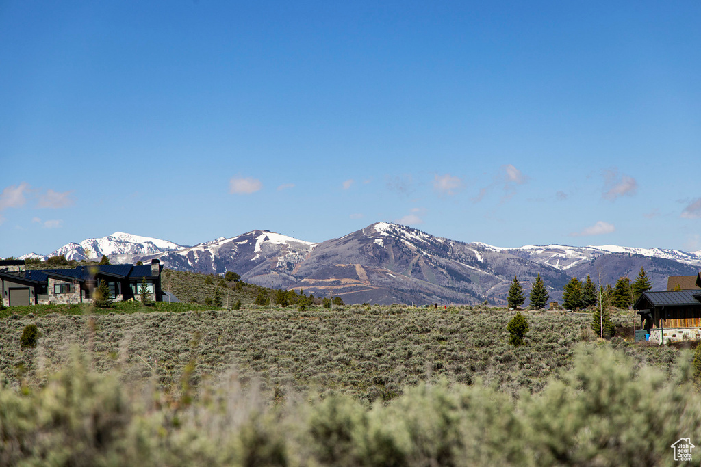 Mountain view