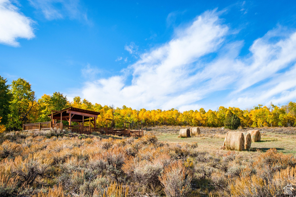 View of yard with a view of rural / pastoral area