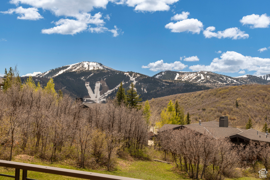 View of mountain background