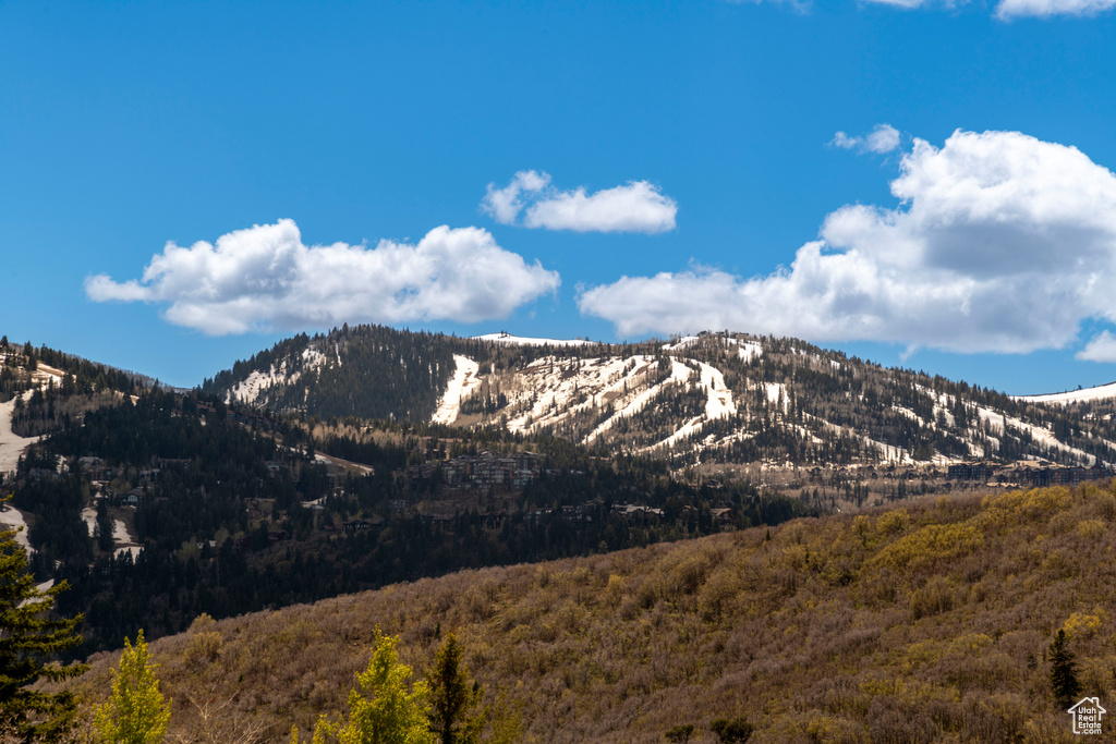 View of mountain background featuring a forest