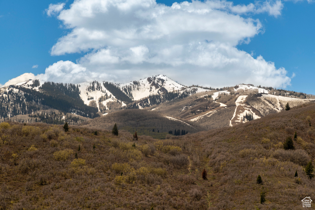 Mountain view