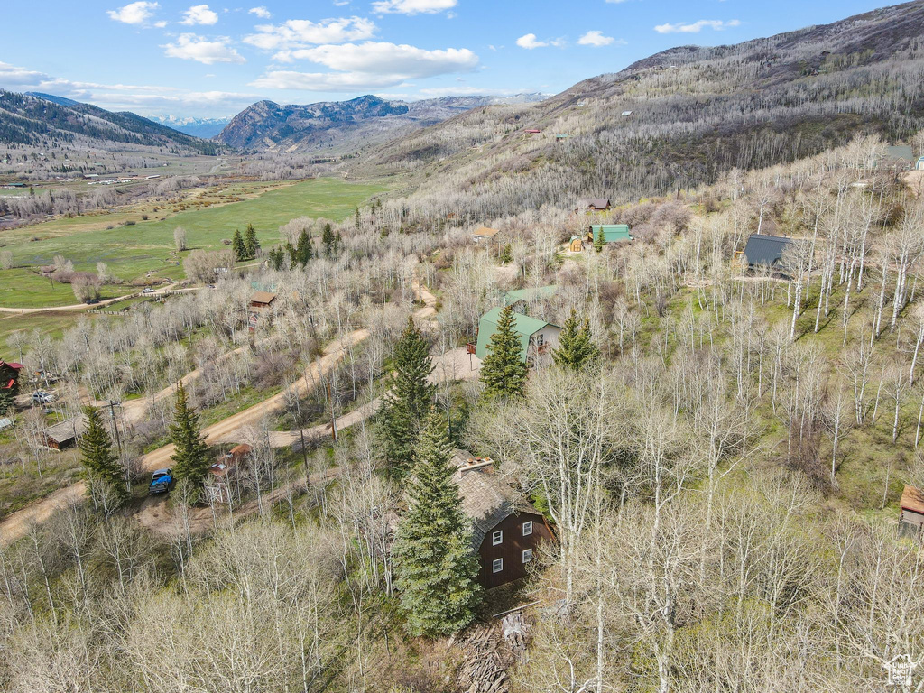 View of mountain background
