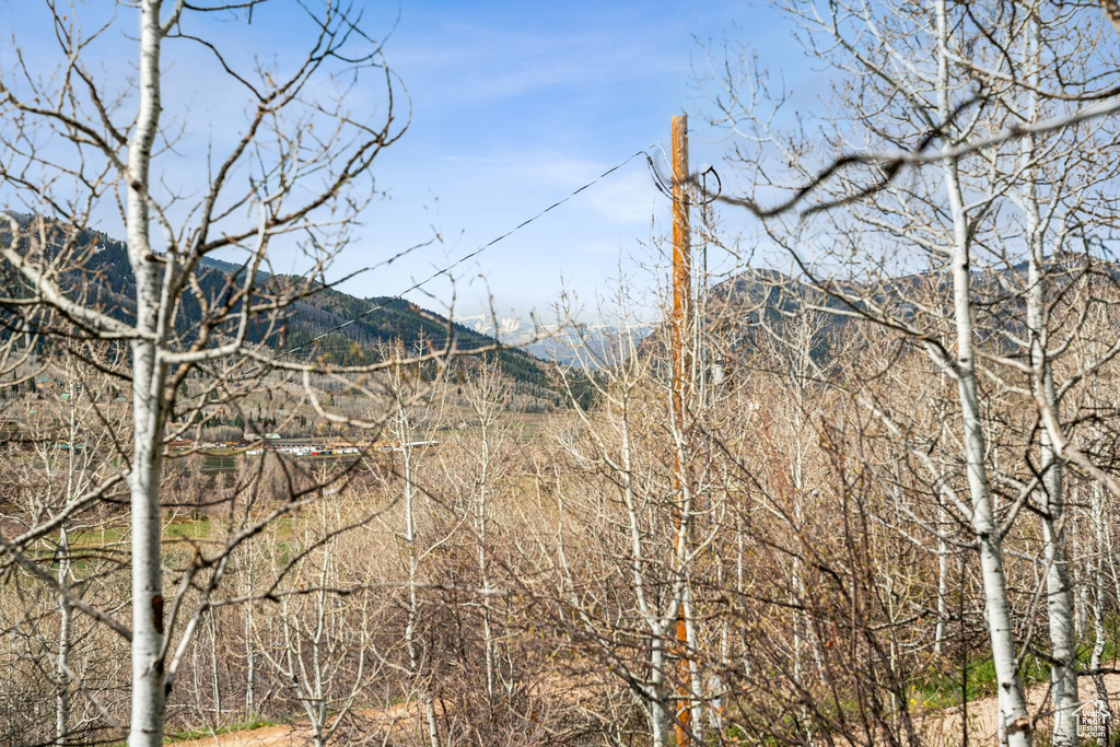 View of mountain background
