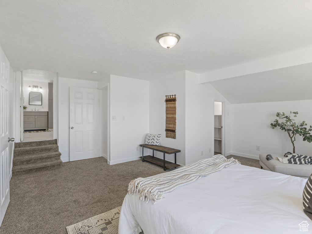 Bedroom featuring carpet floors, baseboards, lofted ceiling, and a sink