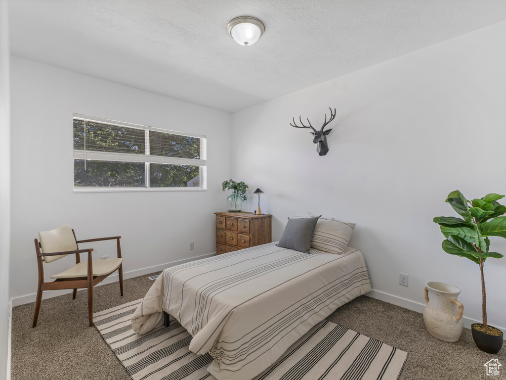 Bedroom with carpet flooring and baseboards