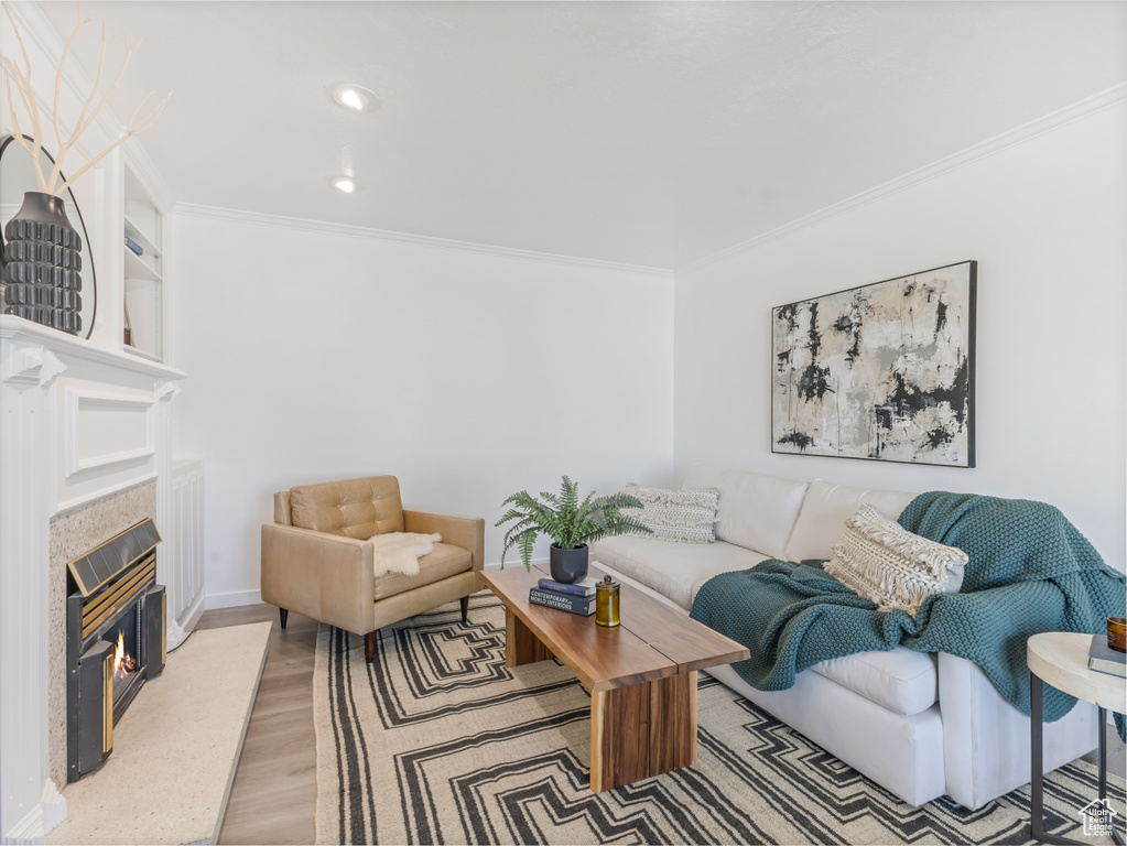 Living area featuring crown molding, light wood-style floors, a glass covered fireplace, baseboards, and recessed lighting
